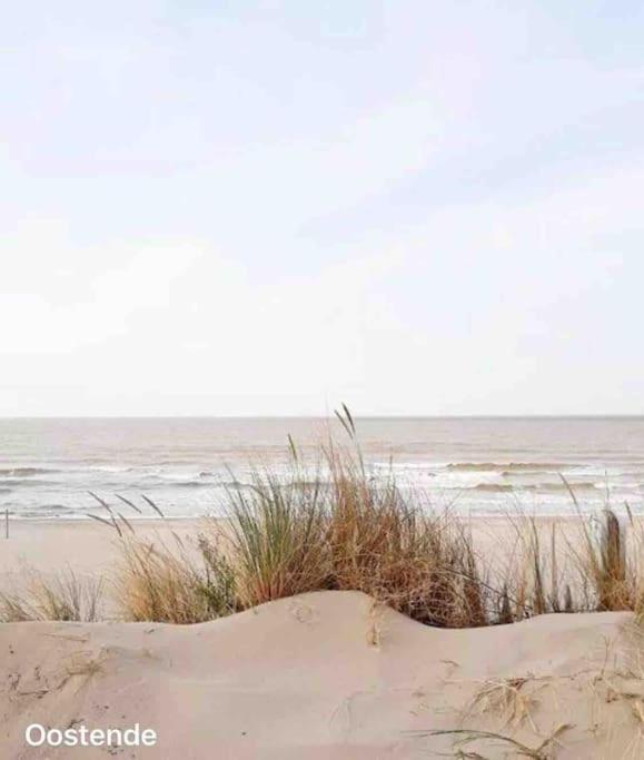 Ostend Chic, Luxe Loftstijl In Oostende Dış mekan fotoğraf